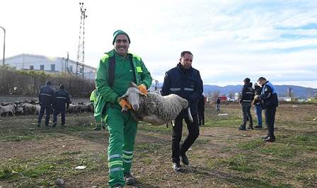 Osmangazi Belediyesi Zabıta Müdürlüğü ekipleri, ekili tarlalara ve çevreye zarar