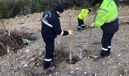 Kocaeli’nin tüm bölgelerinde ağaç dikim çalışmalarını sürdüren Büyükşehir’in son durağı