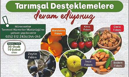 Milas Belediyesi, tarımsal alanda yaptığı desteklemelere %50 hibeli zeytin, incir,