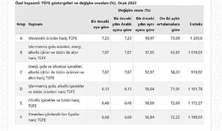 TÜFE'deki (2003=100) değişim 2023 yılı Ocak ayında bir önceki aya