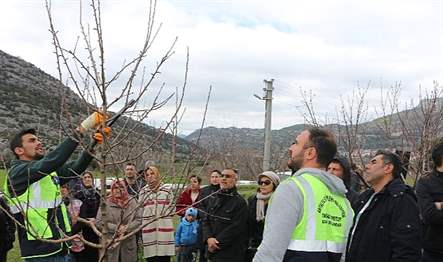 Antalya Büyükşehir Belediyesi tüm ilçelerde daha bilinçli bir tarım yapılması