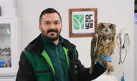 Ormanya Yaban Hayatı Kurtarma ve Rehabilitasyon Merkezi 2022 yılı içinde