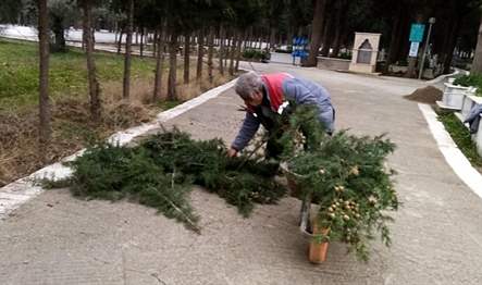 Burhaniye Belediyesi, mezarlıklarda ot temizliğine devam ediyor.