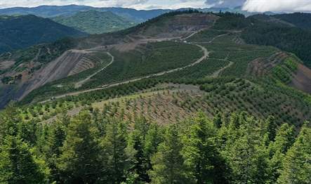 Sürdürülebilirlik odağıyla faaliyetlerini sürdüren Eti Bakır; Artvin Çoruh Üniversitesi ve