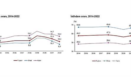 15 ve daha yukarı yaştaki kişilerde işsiz sayısı 2022 yılında