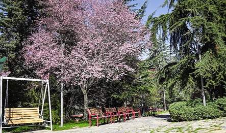 Nisan ayının gelmesiyle birlikte Keçiören’deki park ve bahçelerde bulunan ağaçlar