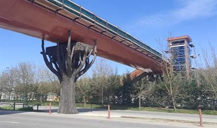 Büyükşehir tarafından Kartepe’de bulunan doğal yaşam parkı Ormanya’ya yayaların güvenli