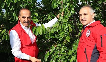 Türkiye’nin üretiminde dünya lideri ve ihracatta güçlü bir oyuncu olduğu