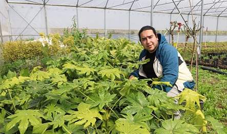 Büyükşehir’in yüzde 50 hibeli modern sera ve sera naylonu desteğinden