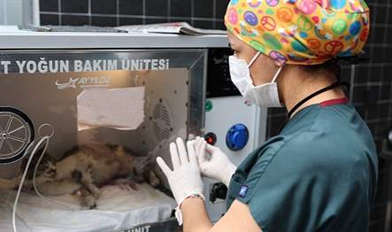 Antalya Büyükşehir Belediyesi’nin Kepez İlçesi Kirişçiler Mahallesi’nde inşa ettiği modern