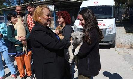 Bodrum Torba’da bulunan Sokak Hayvanları Geçici Bakım Merkezinde 28 Nisan