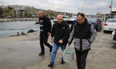 Büyükşehir Belediyesi’nce 2021 yılında İzmit Körfezine salınan kalkan balığı Gebzeli