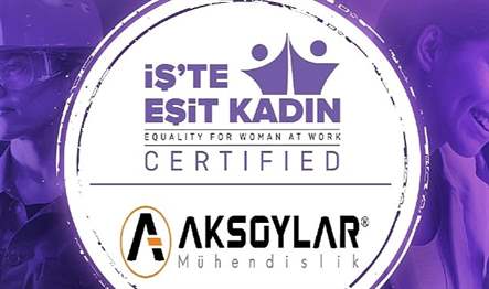 İş hayatında kadınlara eşit haklar ve fırsatlar sunan kurumlar, Sürdürülebilirlik