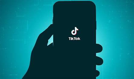 TikTok ve diğer sosyal medya devlerinin kullanıcılarla ilgili topladığı kişisel