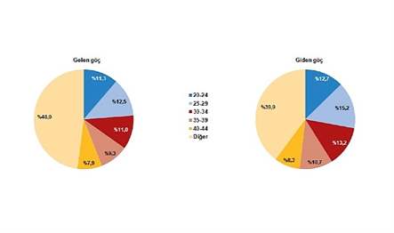 Türkiye'ye 2020 yılında göç edenlerin illere göre dağılımı incelendiğinde, %34,1