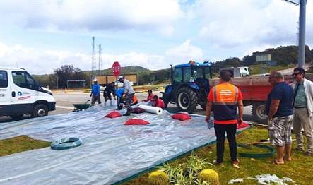 Antalya Büyükşehir Belediyesi, Demre-Kaş sınırı Üçağız Kekova Kavşağı’nda kurakçıl peyzaj