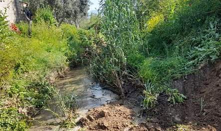 Muğla Büyükşehir Belediyesi tarafından Milas ilçesinde bulunan Balavca Deresinde kötü