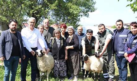Köşk’ün Beyköy Mahallesi’nde koyunları telef olan üretici kadının imdadına Aydın