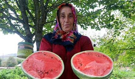 Büyükşehir, “Alternatif Ürün Yetiştiriciliğini Destekleme Projesi” kapsamında üreticilere yüzde 50