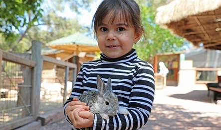 Antalya Büyükşehir Belediyesi Doğal Yaşam Parkı baharla birlikte şenlendi. Lemur,