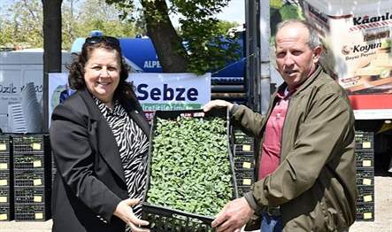 Sebze üreticilerinin desteklenmesi ve tüketicinin ihtiyacı olan taze sebze arzının