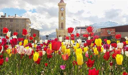 Büyükşehir Belediyesi Park ve Bahçeler Daire Başkanlığınca geçen yıl Kasım