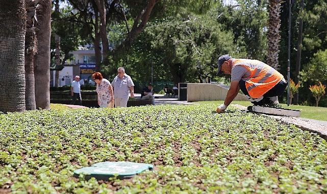 Antalya Büyükşehir Belediyesi, yaz aylarının gelmesiyle birlikte cadde, refüj ve