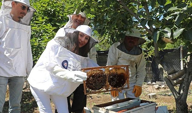 Antalya Büyükşehir Belediyesi, yerli arı üreticilerini desteklemek ve isteklileri arıcılığa