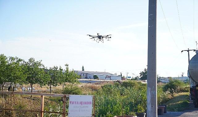 Ayvalık Belediyesi sivrisinek ve larva sorununun çözümü içi dronlarla da