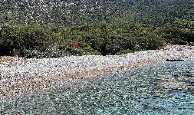 Bodrum Belediyesi, Bodrum Yarımadası’nda yer alan ada ve koylarda kıyı temizliği