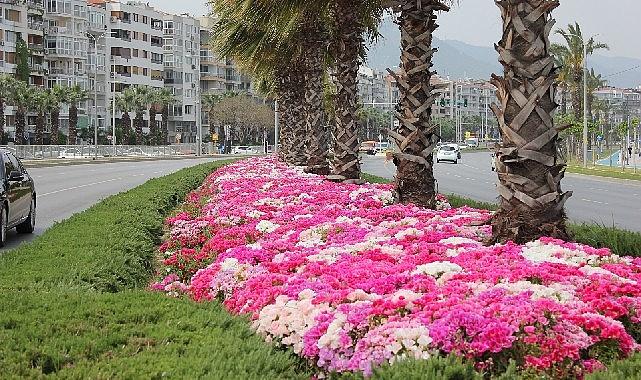 İzmir Büyükşehir Belediyesi’nin bahar aylarında kentin dört bir yanına diktiği