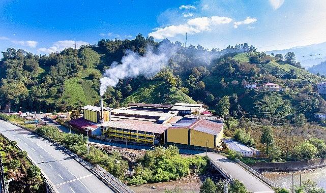 38 yıldır Doğuş Çay markası ile çay üretimine devam eden