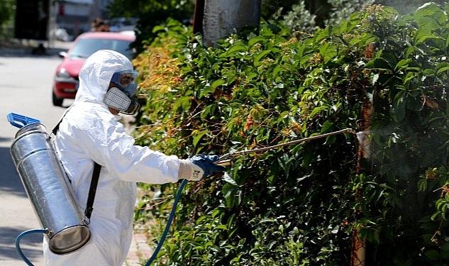 Karşıyaka Belediyesi Çevre Koruma ve Kontrol Müdürlüğü, yaz aylarında sayıları