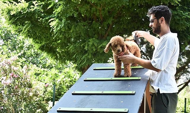 Kemalpaşa Belediyesi tarafından Sekiz Eylül Mahallesi, 104/2 Sokak'ta bulunan parkın