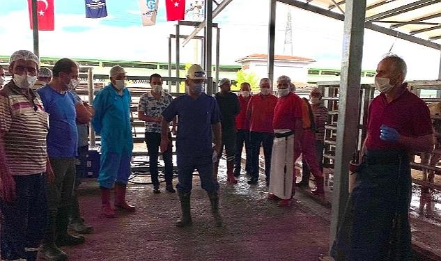 Kurban Bayramı öncesi hazırlıkları kapsamında Büyükşehir, Kurban Kesim Elemanı Kursu