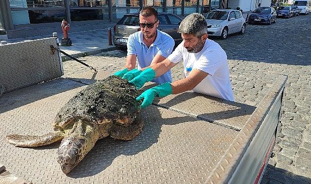 İzmir Büyükşehir Belediyesi Deniz Koruma Şube Müdürlüğü ekipleri, körfez temizliği