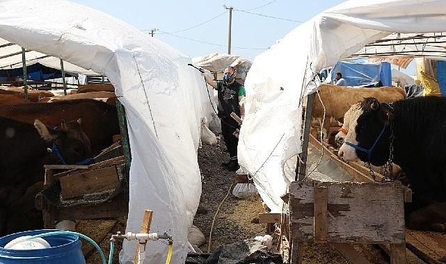 Kocaeli Büyükşehir Belediyesi 6 ilçede kurulan kurban çadırlarında periyodik olarak