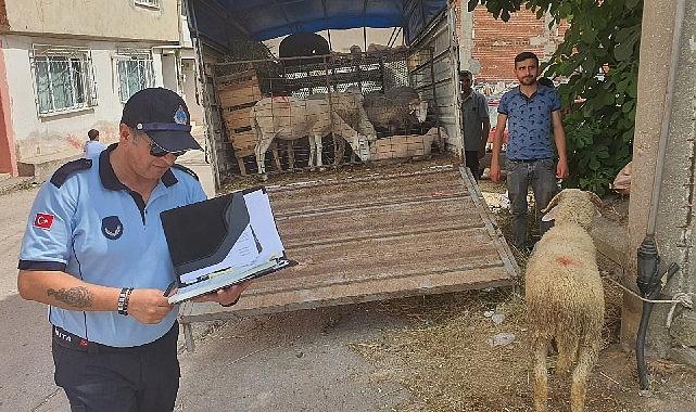 Osmangazi Belediyesi, ilçe genelinde belirlenen kurban satış yerleri dışında kurbanlık