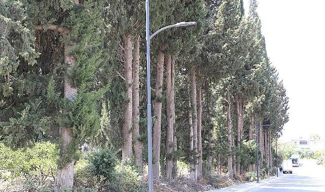 Menderes Belediyesi tarafından Gümüldür ve Orta Mahallede yer alan 4