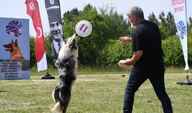 Lüleburgaz Belediyesi’nin ev sahipliği yaptığı Irk Standartları Yarışması Trakya Şampiyonası