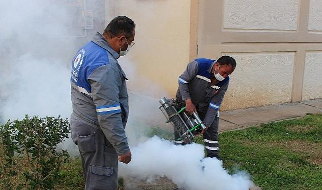 Antalya Büyükşehir Belediyesi, yaz mevsiminin başlamasıyla birlikte 1450 personel, 19