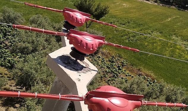 Toroslar EDAŞ gökyüzünü paylaştığı kuşların elektrik nakil hatlarındaki çarpılmalarını, 1,5