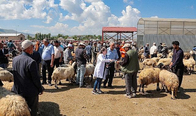 Van Büyükşehir Belediyesi Kurban Bayramı dolayısıyla hareketlenen canlı hayvan pazarında