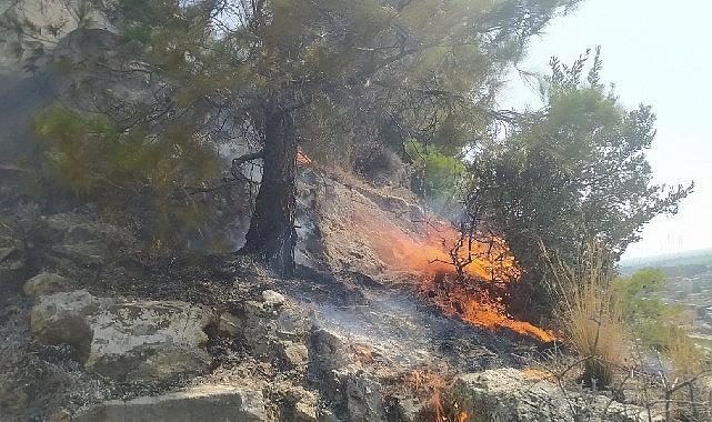 Aydın Büyükşehir Belediyesi İtfaiyesi, Söke’nin Sazlı Mahallesi’nde ormanlık alanda çıkan