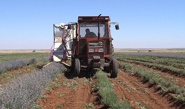 Konya Büyükşehir Belediyesi'nin desteğiyle tarımsal üretimi ve ürün çeşitliliğini artırmak