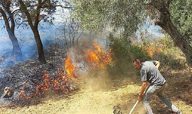 Kınık ilçesi Musacalı mahallesi ormanlık alanda başlayarak geniş bir alana