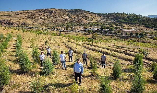 Hem kentin ekolojik dengesine katkı sunmayı hem de Karşıyakalıları şehir