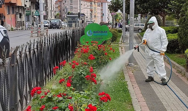 Bağcılar Belediyesi, çam ağaçlarından incir ağaçlarına, meyve ağaçlarından ıhlamurlara kadar