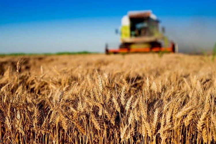 Tarım ve Orman Bakanlığı, 13 milyon 378 bin liralık tarımsal
