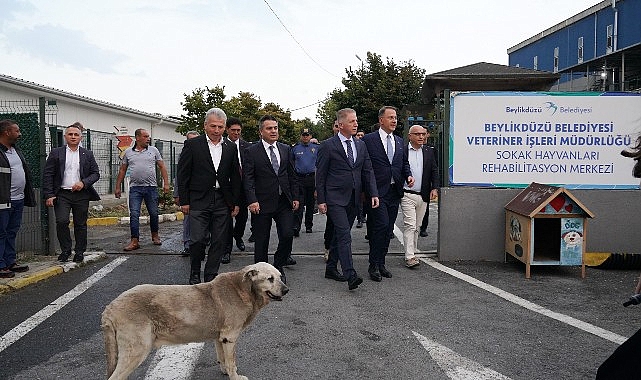İstanbul Valisi Davut Gül, Beylikdüzü’nde incelemelerde bulundu. Vali Gül’e Beylikdüzü